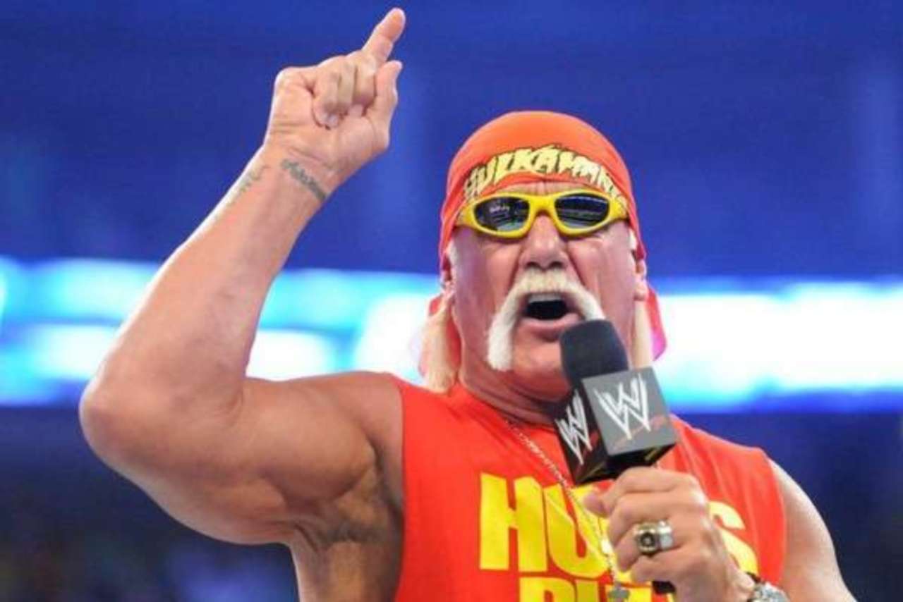 Hulk Hogan and Ventriloquism Using Orange Kermit Doesn't Work