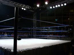 From Training School to Main Event: The Journey of a Wrestling Superstar