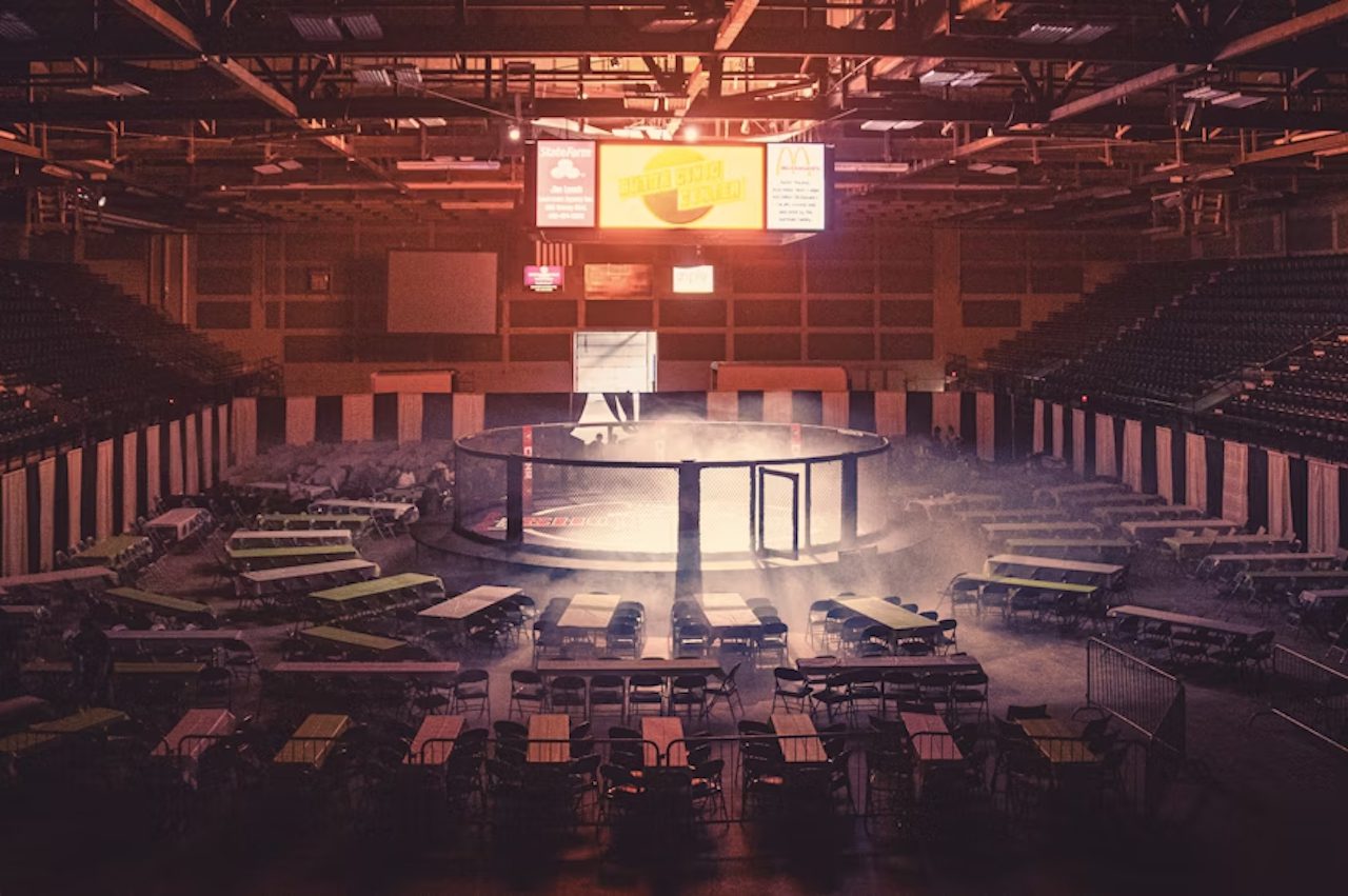Mixed Martial Arts Cage MMA