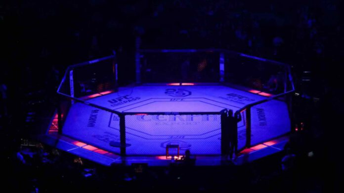 ufc-octagon-cage UFC fighter salary comparison in MMA