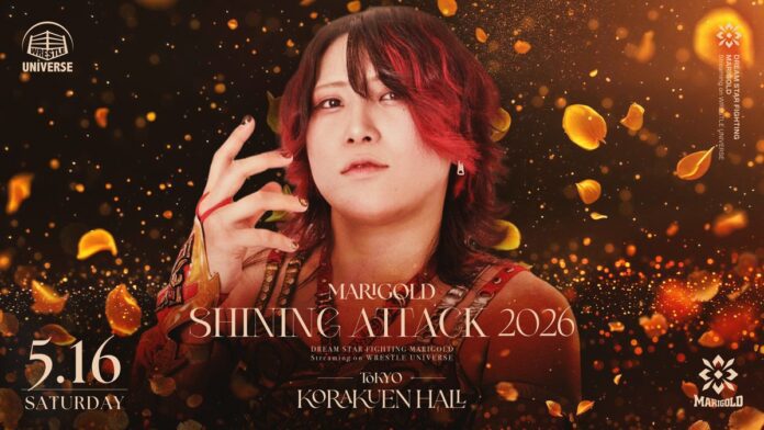 Shining Attack 2026 Day 7 (May 16th)
