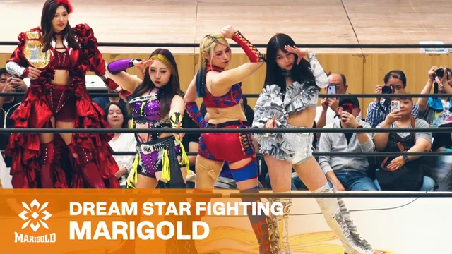 Marigold Shining Attack: Day 13 Results – June 14th, 2026
