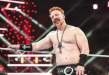 Sheamus Parting Ways With WWE