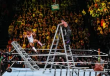 Money in the Bank, explained: the ladder match that can change everything