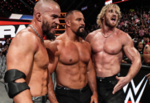 No WWE World Tag Team Title Match at SummerSlam?