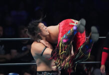 G1 Climax 36 Night 1 in Chicago, IL by Amber Nico Photo