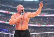 Brock Lesnar Officially Retires From WWE