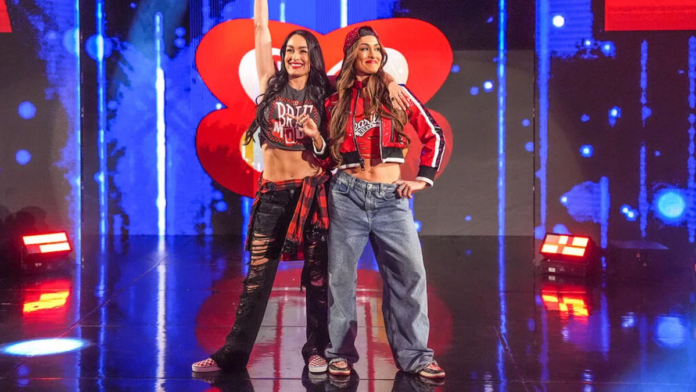 brie-and-nikki-bella-the-bella-twins