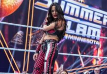 Brie Bella Injured at SummerSlam