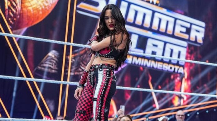 brie-bella-shoulder-injury