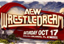 Date And Location For AEW WrestleDream 2026 Announced